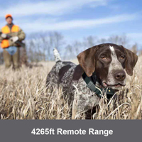 Professionelles Outdoor-Elektro-Trainingshalsband für große Entfernungen, IPX7 wasserdicht, TPU & PC, umweltfreundlich, für die Jagd mit Hunden