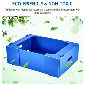 Grosir lembar kemasan bergelombang kotak plastik pp peti plastik tahan air dapat ditumpuk untuk pengiriman