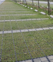 Système de pavage en grille de gravier noir Sunsbuild, prix d'usine, allée, géocell en HDPE, stabilisation, drainage imperméable, haute compression