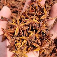 Selected Star Anise Whole Dried Spices Illicium Verum a Grade Natural Condiment for Meat Soup and Pho Seasoning Wholesale