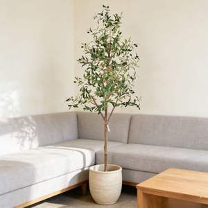 Venta Caliente: Árboles de Olivo Artificiales Realistas Desmontables de 210 cm con Frutos, Plantas Decorativas de Olivo Artificial para Hogar y Oficina - Product Image 2