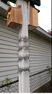 Púas Anti-Escalada de Acero Inoxidable SS304 para Tuberías y Agujeros, Púas Afiladas Disuasorias para Mapaches/Serpientes/Ratones/Palomas - Product Image 5