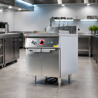 Cuiseur à nouilles électrique multi-ajustable RKMF-RG166, cuiseur à nouilles efficace à six têtes