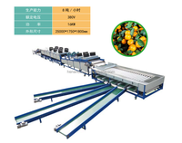 Ligne de tri et de calibrage par poids pour fruits (mangues, oranges, patates douces)
