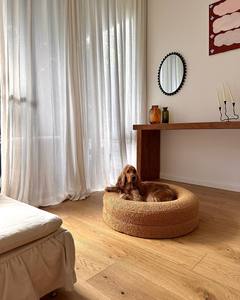 2024 nóng bán thoải mái Cat Dog giường với có thể tháo rời bìa có thể giặt Oxford vải tổ siêu mềm PVC Trọng lượng nhẹ bọt giường vật nuôi - Product Image 2