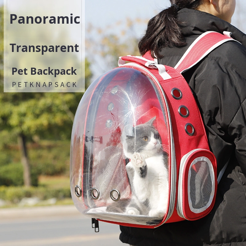 Zaino Trasportino PARENCE Per Gatto E Cane Piccolo – Borsa A Bolla Con Finestra Trasparente, Fori Di Ventilazione E Spallacci Imbottiti