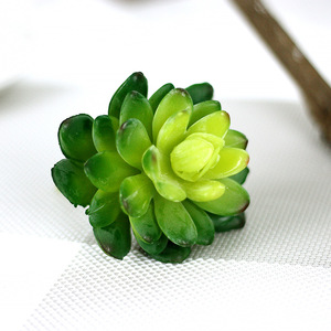 2024 10cm Plante Artificielle Echeveria Lenore Dean Intérieur Succulente - Product Image 5