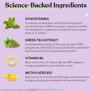 Oem Hete Verkoop Afslankcapsules Organische Gewichtsverlies Pillen Voor Vetverbranding En Detox - Product Image 3