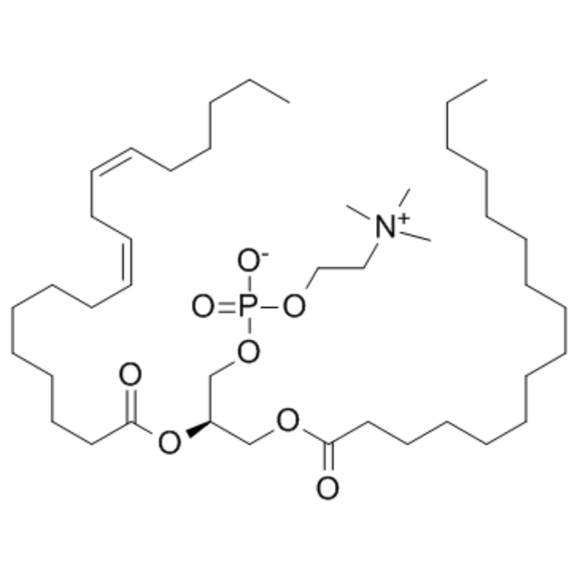 CAS 8002-43-5 L-a-Phosphatidylcholine Lecithin