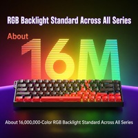 Clavier Gaming Filaire RGB WIN60HE Édition Standard 60 Touches Noir Gris Bois à Axe Magnétique – Vente en Gros Populaire