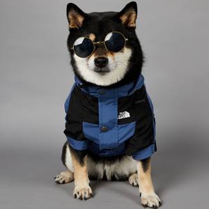Nuevo Diseño de Lujo, Abrigo Impermeable de Poliéster para Perros Grandes, Uso en Verano - Product Image 2