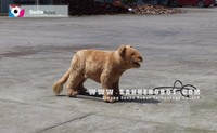 Petit lion animatronique pour expositions de musées pour centres commerciaux Parcs d'aventures Aéroports Garderies Écoles maternelles