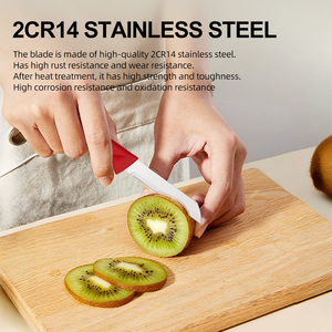 6 قطع من الفولاذ المقاوم للصدأ Paring مع مقبض بلاستيكي ، صندوق ملون ، سكاكين مطبخ مفيدة للفواكه والخضروات - Product Image 4