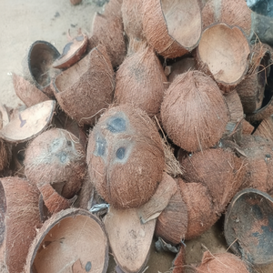 Coques de noix de coco naturelles brutes de qualité supérieure, riches en protéines et en fibres alimentaires, prêtes pour une livraison rapide ! Meilleurs déchets agricoles en gros - Product Image 1