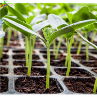 Plateau à trous de base de plantation, machine à semis à détection automatique de la lumière, machine à semis, outil intégré pour l'ensemencement et la levée des semis