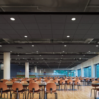 Dalles de plafond acoustiques économiques en fibres minérales noires 600x1200 pour centre commercial en Ouganda – Approvisionnement direct usine