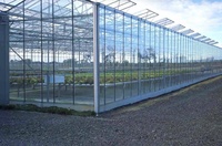 Serre en verre Venlo de 1000 m² à vendre