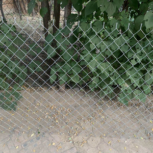 Clôture en treillis métallique galvanisé durable pour séparation de terrains extérieurs, idéale pour la protection quotidienne - Vente en gros usine - Product Image 5