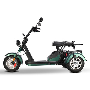 Moto électrique à trois roues de style Harley pour adultes, haute performance, rapport coût-performance élevé, performance stable, 60V 2000-4000W - Product Image 5
