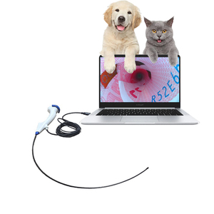 Nội soi y tế tai mũi họng nội soi dạ dày/nội soi/nội soi phế quản/nội soi sợi thú y - Product Image 1