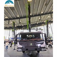 Chine nouvelle ZTC250V5-2 petite Zoomlion Rc 8 tonnes 25 tonnes 30 tonnes grue à flèche Mini grue avec télécommande Kit sans fil