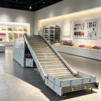 Máquina secadora de materia prima alimentaria, secador de cinta transportadora continua, secador de malla, secador transportador