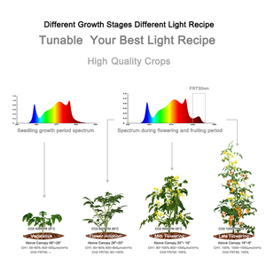 Lampe de culture à spectre réglable <span class=keywords><strong>Koray</strong></span> G80 700 Watt utilisant des LED Samsung 1m301h pour une culture à haut rendement de plantes médicinales - Product Image 6