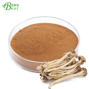 Hot sale tea tree mushroom extract/agrocybe aegirita extract/mushroom polysaccharide 30%