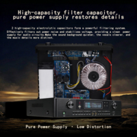 Amplificateur audio professionnel numérique stéréo avec effets d'écho pour karaoké KTV, 2*300W, boîtier métallique, système de sonorisation professionnel, mixeur