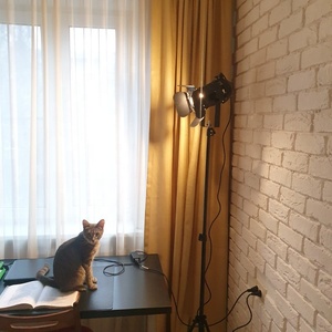 Lámpara de Pie LED Industrial con Trípode Negro, Estilo Moderno y Creativo, para Fotografía, Video y Estudio, Marca Redhead Iron - Product Image 3