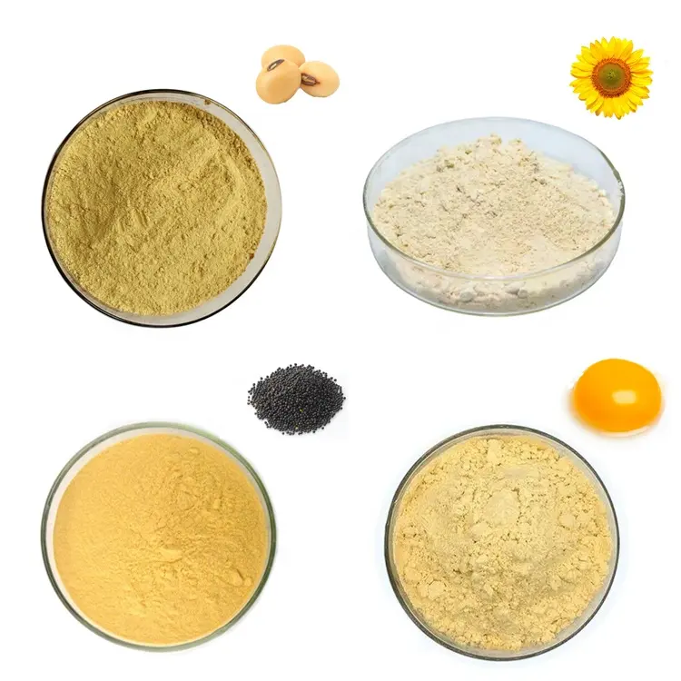 Factory Wholesale Food Ingredients Organic sunflower lecithin powder sunflower lecithin