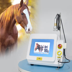 Terapi stimulasi magnetik <span class=keywords><strong>Laser</strong></span> kelas Iv untuk manajemen nyeri hewan dokter hewan - Product Image 1