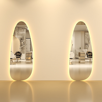 Miroir LED de style vague irrégulière de grande taille personnalisable, fourni par l'usine, avec lumière tricolore pour salon de coiffure