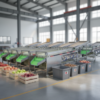 Elektrische automatische appel-, citroen- en sinaasappelsorteer- en -gradeermachine met motor, 304 roestvrij staal, capaciteit 2000 kg/uur