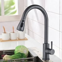 Robinet de cuisine moderne style européen en acier inoxydable doré 304 avec douchette extractible en laiton pour cuisine