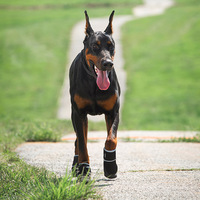 Chaussures pour chiens Coussinets de protection imperméables pour pattes de chien Chaussures antidérapantes pour chiens Chaussures jetables pour animaux de compagnie