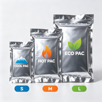 Sac isotherme imperméable avec isolation en mousse épaisse, réutilisable, fermeture à pression, pour produits pharmaceutiques / pharmacie