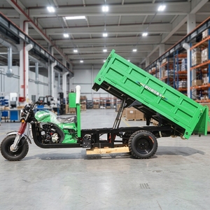 Triciclo de Carga Integral para Viñedos, Diseño Delgado y Compacto para Desplazarse entre Filas de Plantaciones de Vides en Espacios Reducidos - Product Image 6