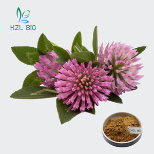 Grosir bubuk ekstrak semanggi merah perawatan kesehatan kustom 100% bubuk ekstrak semanggi merah alami - Product Image 1