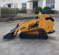 Mini-chargeuse compacte sur chenilles à moteur diesel CE EPA pour usage agricole, livraison gratuite, prix abordable
