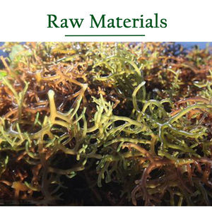 Npk + te בינוני אלמנטים מניטול אצות אורגני תמצית דשן שחרור איטי רב פונקציה - Product Image 2