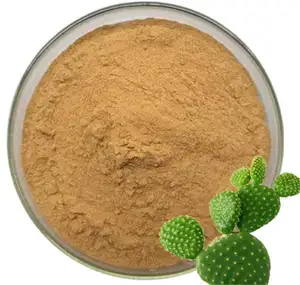 Factory supply hoodia gordoni prickly pear extract of prickly pear