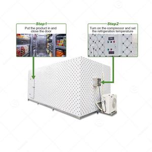 Cold Room Cooler Small Chambre Froide Refrigerator Unit Container Price Storage <b>Machine</b> <b>Walk</b> in Freezer <b>for</b> Sale - Product Image 5