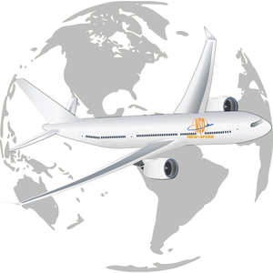 NUEVA VELOCIDAD Proveedor de servicios logísticos superior Agente de envío aéreo DDP de China a Egipto - Product Image 4