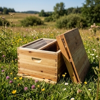 Kit complet de ruche Langstroth en cire bouillie, ruche à 10 cadres avec superbes, équipement et pièces d'apiculture pour apiculteurs professionnels