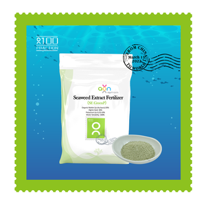 Afrinorm chiết xuất rong biển bột màu xanh lá cây biostimulant phân bón 30% alginic axit 10% kali Oxit cho đất cây trồng tăng trưởng - Product Image 1