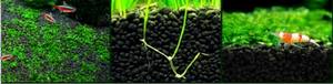 Bron Fabriek Topkwaliteit Bio Substraat Voor Aquaria Garnalen - Product Image 3
