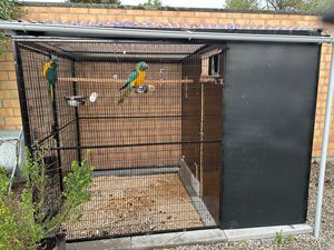 Voliera per Uccelli Grande e Resistente con Rivestimento in Polvere per Allevamento di Pollame e Pappagalli da Esterno (XMM251210) - Product Image 1