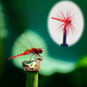 2024 nouveau Style <span class=keywords><strong>hiver</strong></span> <span class=keywords><strong>leurre</strong></span> de pêche humide avec crochet barbelé mouches mouche truite <span class=keywords><strong>pour</strong></span> la pêche truite bar mouches de pêche - Product Image 3