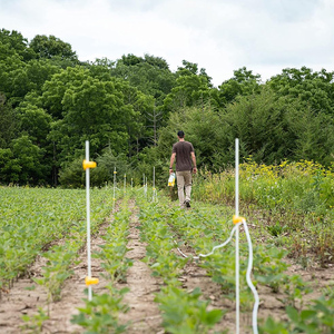 Varillas de fibra de vidrio resistentes y flexibles para estacas de árboles, estacas de tomate y soporte de plantas - Product Image 5